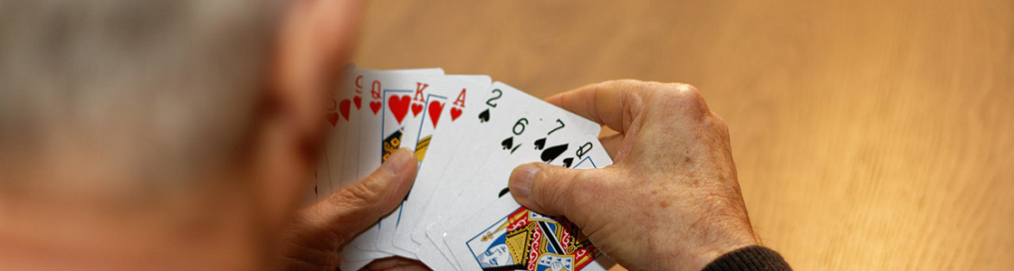 Bridge Card Game