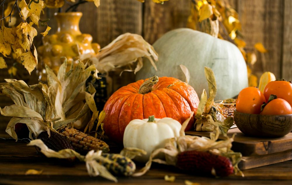 Thanksgiving Dinner